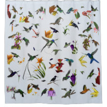 Hummingbirddusch (blått)