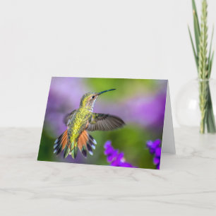 Hummingbirden i lila blommor förbigår hälsning kort