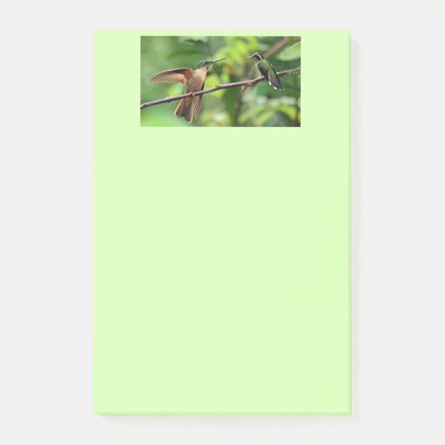 Hummingbirden postar det noterar post-it block (Framsida)