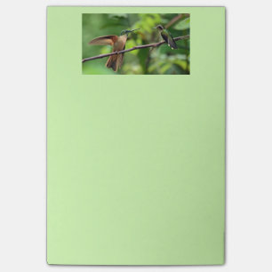 Hummingbirden postar det noterar post-it block