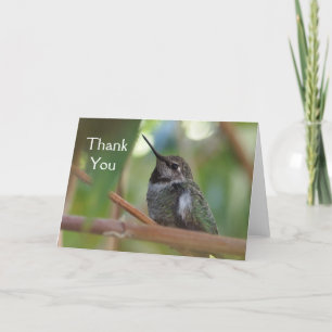 Hummingbirden tackar dig att card tack kort