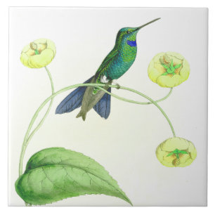 Hummingbirdfågeldjurlivet blommar blom- djur kakelplatta