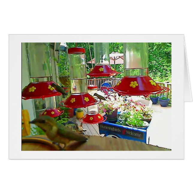 Hummingbirdfarstubrokort Hälsningskort (Framsidan Horizontal)