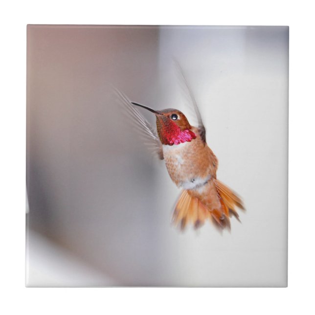 Hummingbirdflygfoto Kakelplatta (Framsidan)