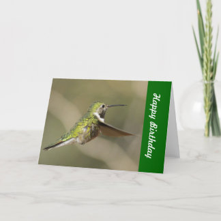 Hummingbirdfödelsedagkort Kort