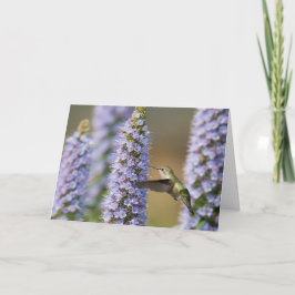 Hummingbirdfödelsedagkort Kort