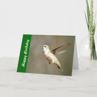 Hummingbirdfödelsedagkort Kort