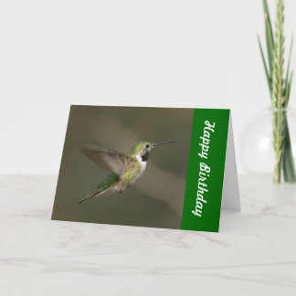 Hummingbirdgrattis på födelsedagenkort kort