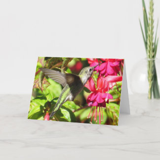 Hummingbirdhälsningkort Kort