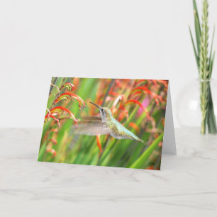 Hummingbirdhälsningkort Kort