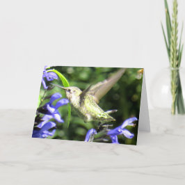 Hummingbirdhälsningkort Kort
