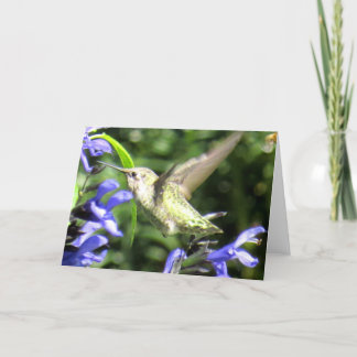 Hummingbirdhälsningkort Kort