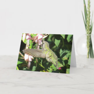 Hummingbirdhälsningkort Kort