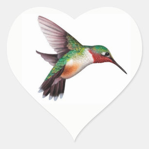 Hummingbirdhjärtaklistermärke Hjärtformat Klistermärke