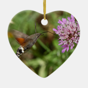 Hummingbirdhök-mal (den Macroglossum Julgransprydnad Keramik
