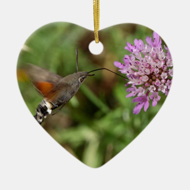Hummingbirdhök-mal (den Macroglossum Julgransprydnad Keramik (Framsidan)