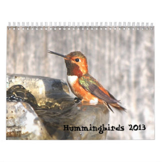 Hummingbirdkalender 2013 kalender