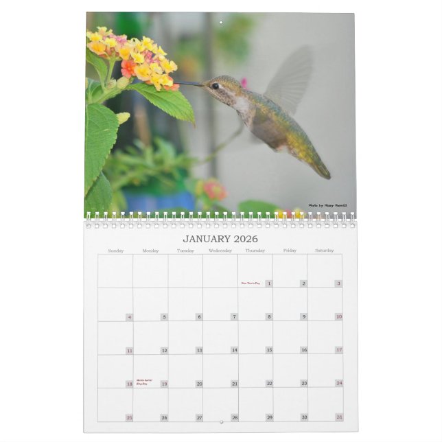 Hummingbirdkalender 2013 kalender (Jan 2026)