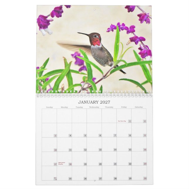 Hummingbirdkalender 2014 kalender (Jan 2027)
