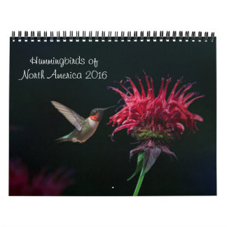 Hummingbirdkalender 2016 kalender