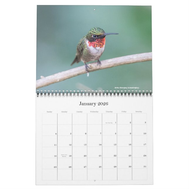 Hummingbirdkalender 2016 kalender (Jan 2026)