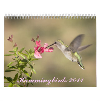 Hummingbirdkalender Kalender