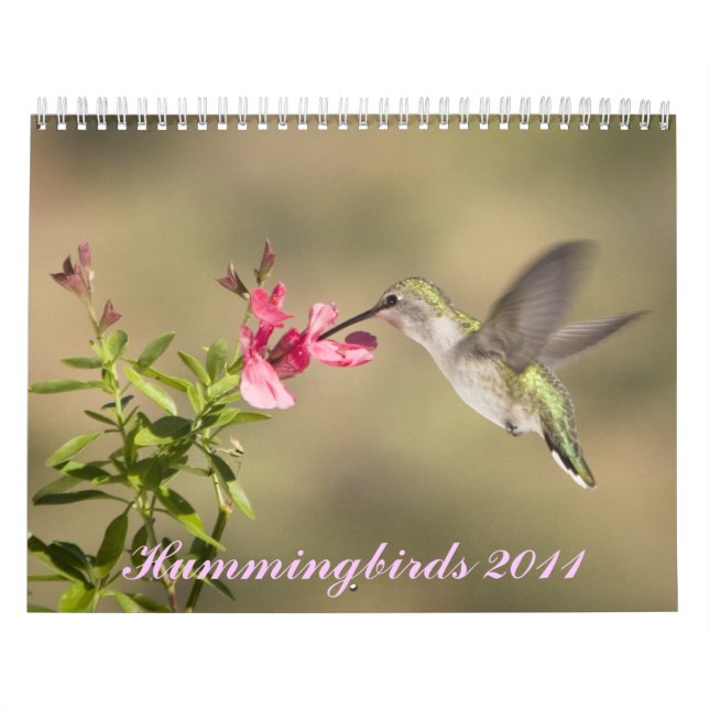 Hummingbirdkalender Kalender (Omslag)