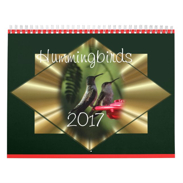 Hummingbirdkalendern 2017 - ändra året som behövt kalender (Omslag)