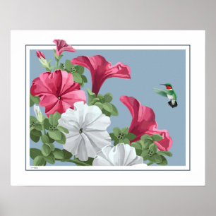 Hummingbirdkonst Poster