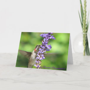 Hummingbirdkort 2 kort