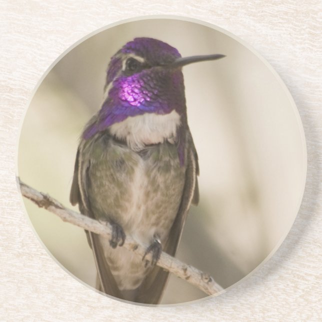 Hummingbirdkustfartyg Underlägg Sandsten (Framsidan)