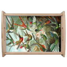 Hummingbirdmagasin