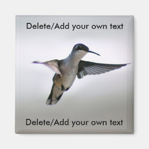 Hummingbirdmagnet Magnet