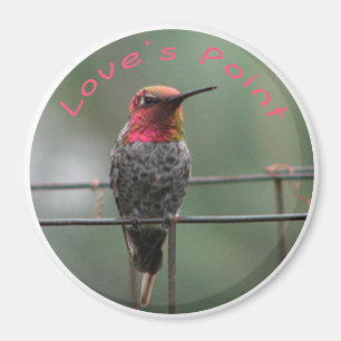 Hummingbirdmagnetkärlek Point förser med text Magnet