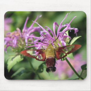 Hummingbirdmal Mousepad Musmatta