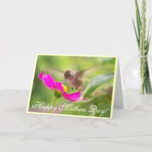 Hummingbirdmammor kort för dag