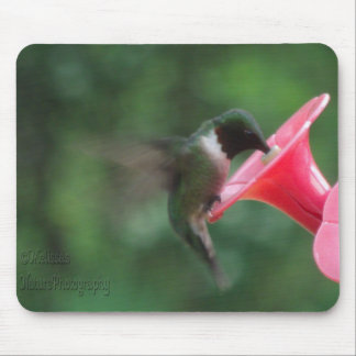hummingbirdmousepad musmatta