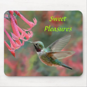 Hummingbirdmusen vadderar musmatta