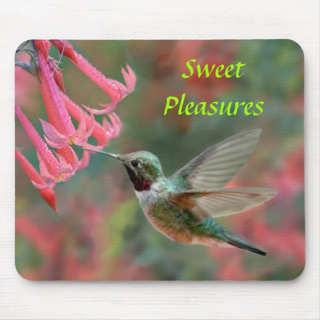 Hummingbirdmusen vadderar musmatta (Framsidan)