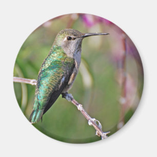 HummingbirdPerch II Magnet