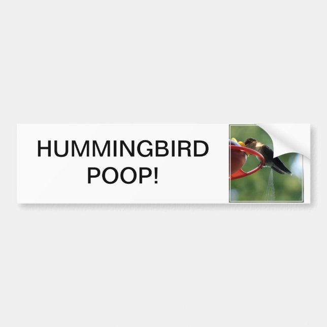 HummingbirdPoop! Bildekal (Framsidan)