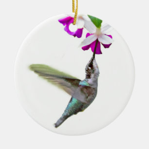 Hummingbirdprydnad Julgransprydnad Keramik