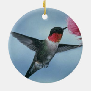 HUMMINGBIRDPRYDNAD JULGRANSPRYDNAD KERAMIK