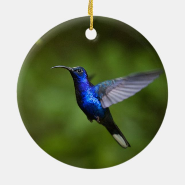 HUMMINGBIRDPRYDNAD JULGRANSPRYDNAD KERAMIK (Baksidan)