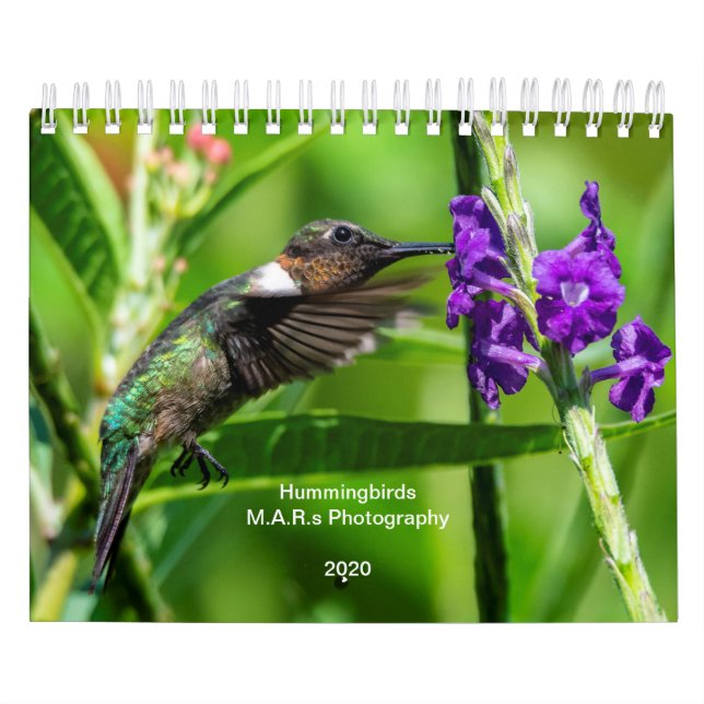 Hummingbirds 2020 kalender (Omslag)