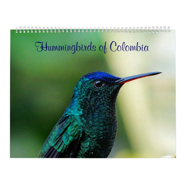 Hummingbirds av Colombia Kalender (Omslag)