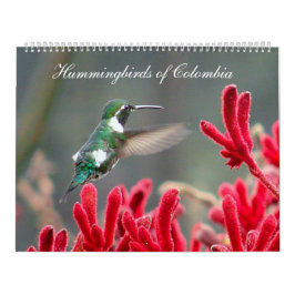 Hummingbirds av Colombia Kalender
