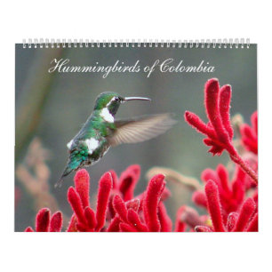 Hummingbirds av Colombia Kalender
