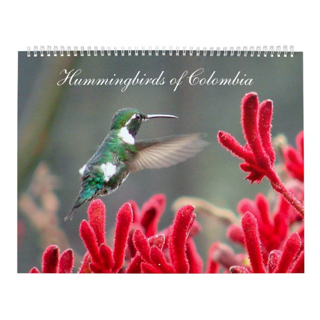 Hummingbirds av Colombia Kalender (Omslag)