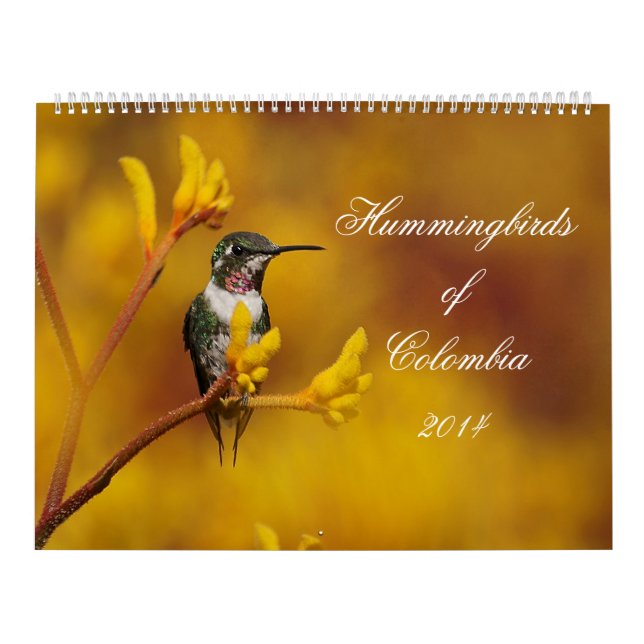 Hummingbirds av Colombia Kalender (Omslag)
